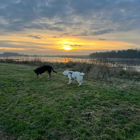 Elbauen-chalet * Cumlosen