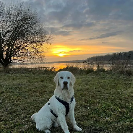 Elbauen-chalet Vakantiehuis *