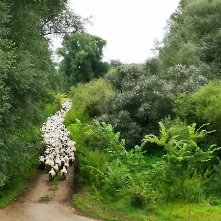 Elbauen-chalet Vakantiehuis *