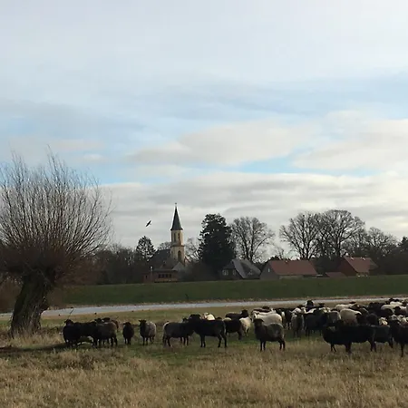 בית נופש Elbauen-chalet Cumlosen