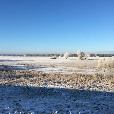 Elbauen-chalet בית נופש *
