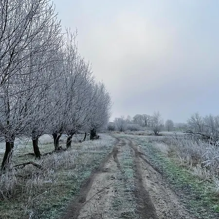 Σπίτι διακοπών Elbauen-chalet
