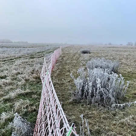 Σπίτι διακοπών Elbauen-chalet