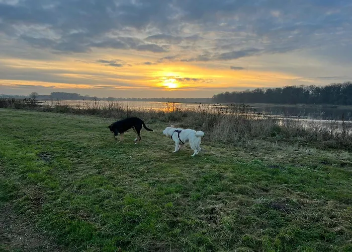 Elbauen-chalet * Cumlosen