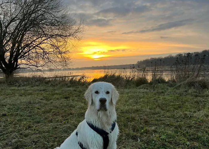 Elbauen-chalet Сasa de vacaciones *