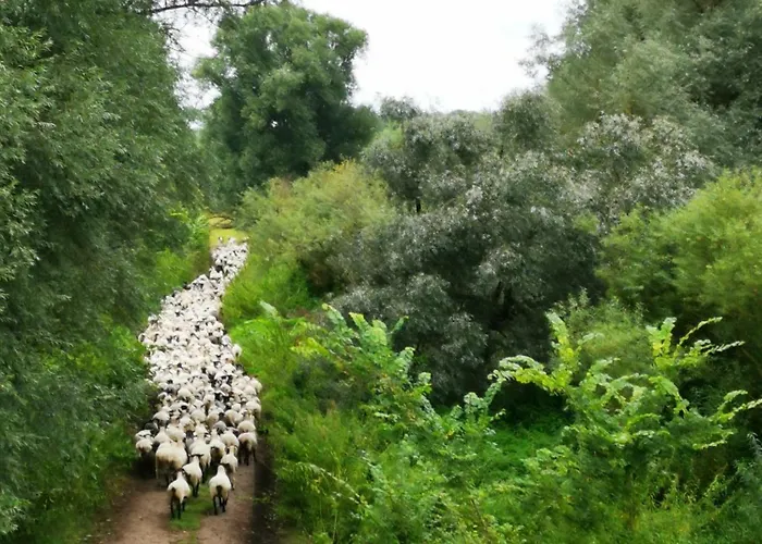 Elbauen-chalet Сasa de vacaciones *