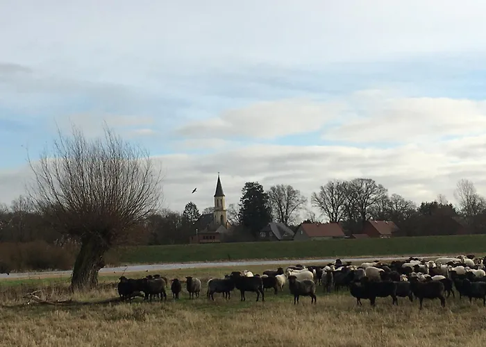 בית נופש Elbauen-chalet Cumlosen