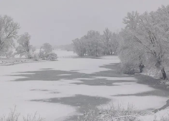 Elbauen-chalet * Cumlosen