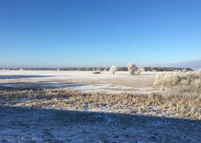 Elbauen-chalet Casa vacanze *