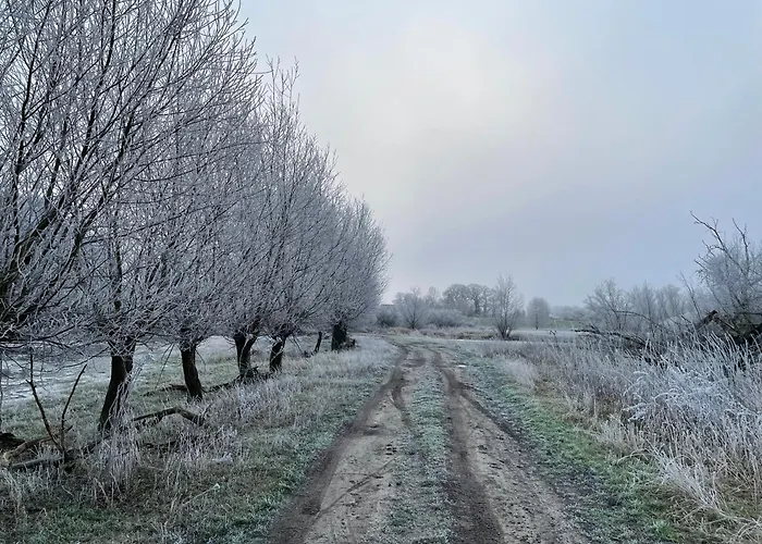 בית נופש Elbauen-chalet