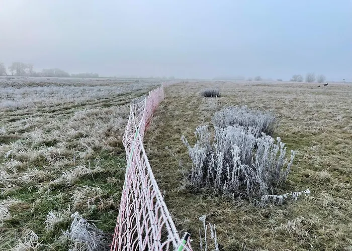 Casa vacanze Elbauen-chalet